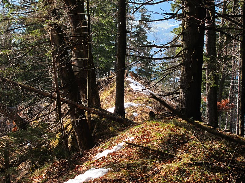 Hiasbauernhöhe